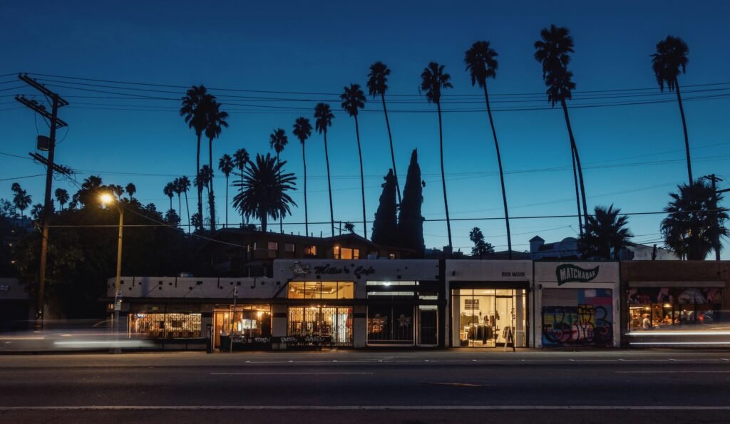 Stores on Sunset blvd night scene