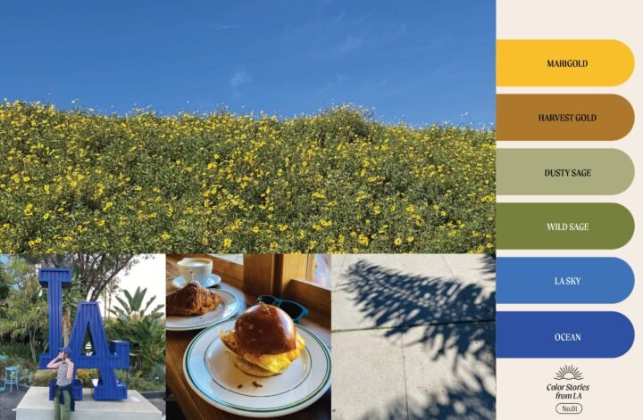 Sunlit Marigold | California Color Palette & Pattern – Color Stories from LA No.01